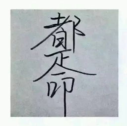 那些年我们见过的奇葩名字