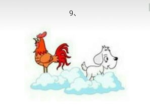 鹤立鸡群令人钦打一精准生肖，鹤立鸡群猜3个数字是什么生肖？