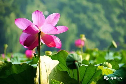 事业财运？骗人的吧！