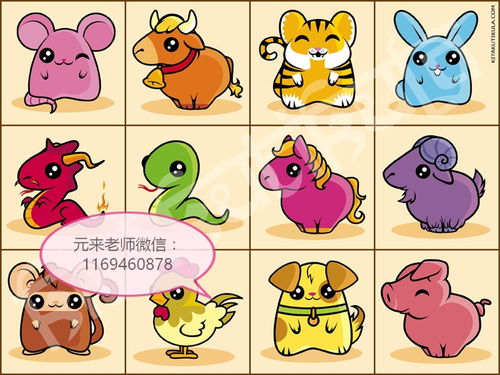 3. 生肖那些事儿