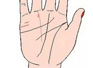 手相线纹名称及吉凶分析，手相十大主要线纹有哪些？