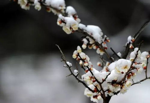 ：诗人及其时代背景