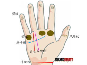 手相看婚姻真的准确吗？如何从手相中判断嫁得好不好？