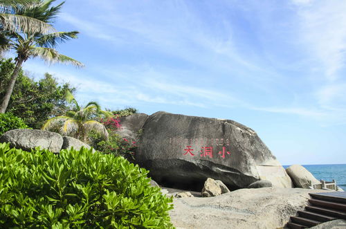 交通攻略乱弹琴