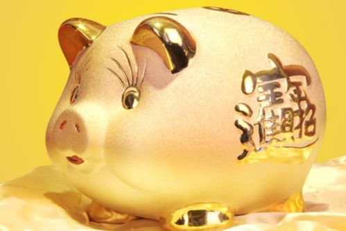 1971年属猪的人金猪寿命是多少年？