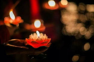 超度与安息：实践案例及精神寄托