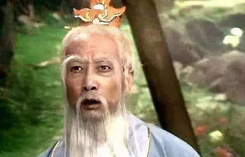 山东太白金星算命大师，您是山东最灵算命先生吗？