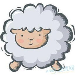 身体状况