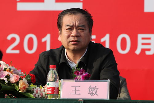 王敏名字评分分析报告