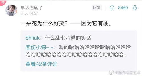 那些让人笑掉大牙的谐音