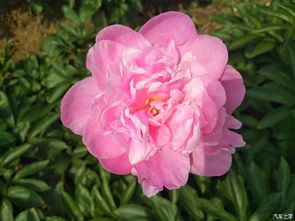 那些让人腿软的游乐项目