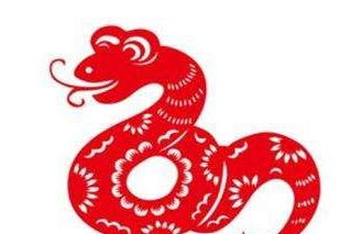 2026年属蛇女性运势和男性全年运势分别如何？