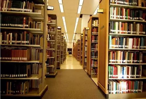 2.2 图书馆选址与“文昌”星