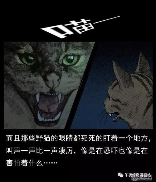 进一步深入：异常行为背后的潜在危机