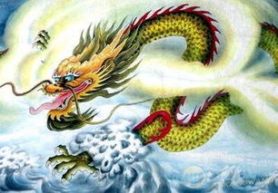 1988年属龙的人运势如何，具体表现在哪些方面？