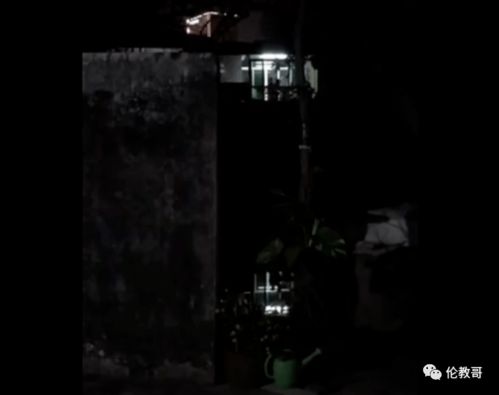 二、 现象剖析：更多维度的恐慌与窥视