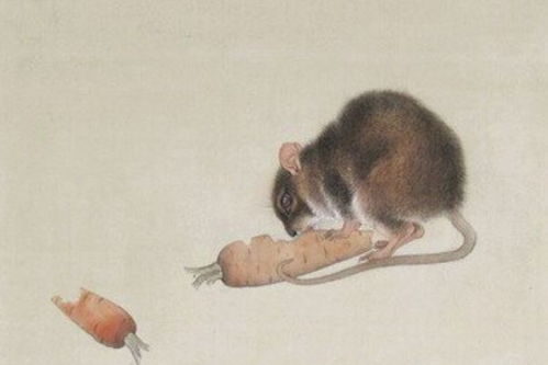 2026年已婚属鼠人和属鼠人25年分别会有烂桃花吗？