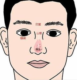 第一章 天庭形态学解析与祖业根基的关联