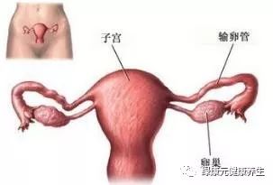 关炎热爱女性群体身体健康状况，从了解启动！