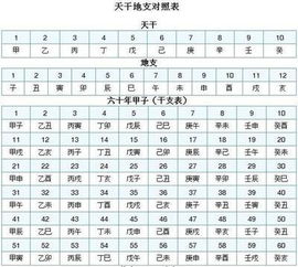 1）天干地支记住对