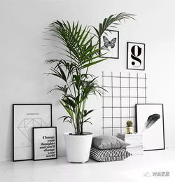 色彩与材质的协同效应