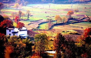 Sichuan 米亚罗：藏在深山里的红叶秘境（？）