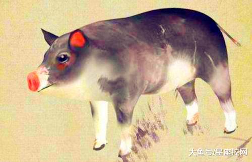 属羊女和属猪女合财运吗？妈妈属羊女儿属猪是否吉利？