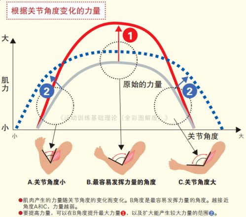 4.1 动象解析——太阳加时之效应