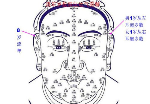 三、  情感运势与人际关系的深层解析