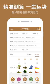 理论框架：生辰八字、 五行与周易数理的交叉关联