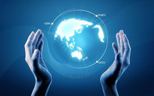 四、 时代浪潮的弄潮儿：互联网与IT行业的创新驱动