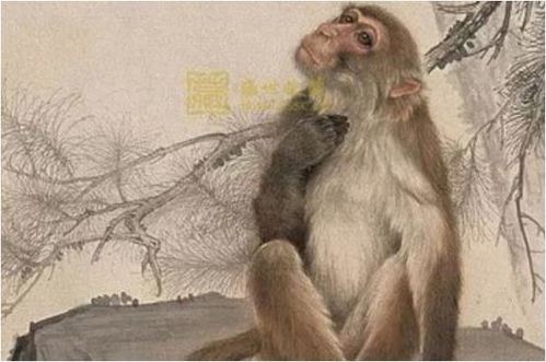 属猴人早上9点出生，哪个时辰最有利于命运？