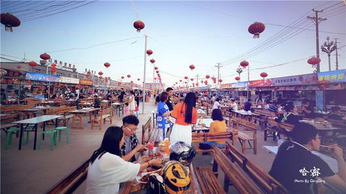 4. 平房美食街：吃货的狂欢还是肠胃的灾难？