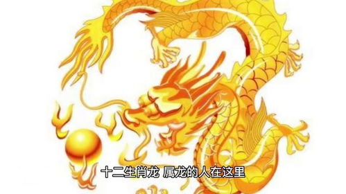：岁月流转中的命运之道