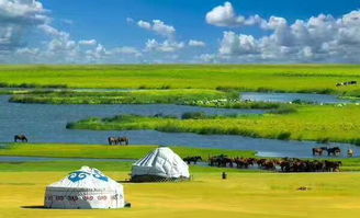 包车自由行：定制路线的爽点