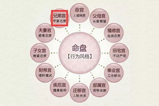 诊断步骤概述