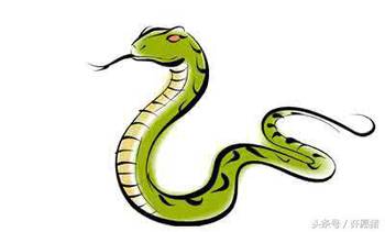 2026年属蛇每月运势具体内容是什么？