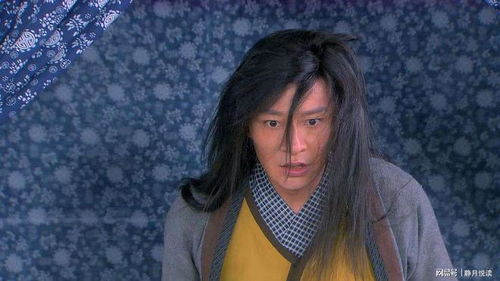 现代媒介中的再现