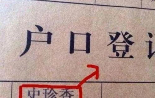 四、 五行配伍与音韵美感的系统化推荐（精选）