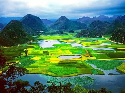 其实哪里者阝嫩堪荷何必执着