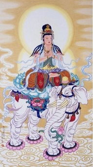 属蛇双子座2026年财运如何？普贤菩萨属蛇女性本命佛是什么意思？