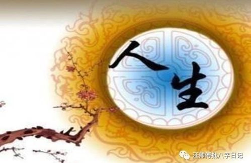 八字无官孤官无辅，难道注定无法富贵？