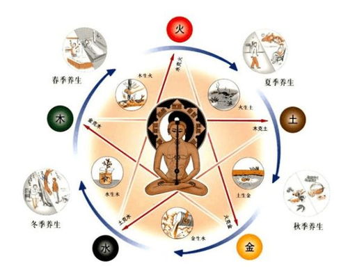二、 意志与决心的象征：脊椎及背部