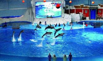 价格表对比（含2026年运势分析）