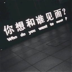 三、 现代化起名趋势与审美考量
