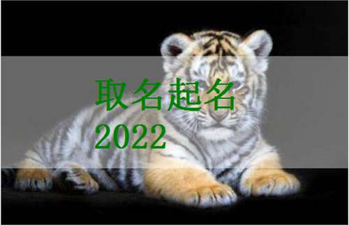 属龙女孩起名技巧