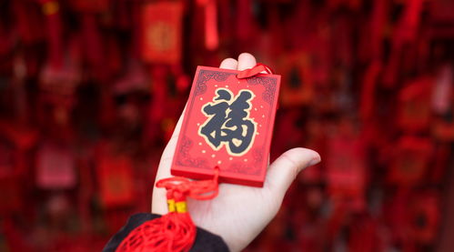 5. 属狗独立精神与风险规避并行的财富路径