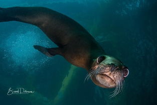 取名海洋寓意深远，起名海洋是否合适呢？