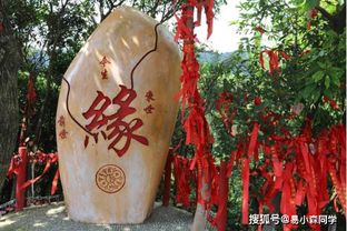 男命八字正财偏财各三个，女命八字正财偏财各三个，这样的八字命理有何特点？