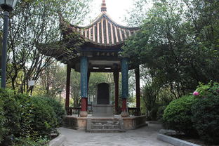 那些所谓的热门公园到底好在哪儿了？